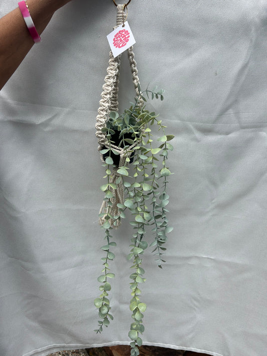 plant hangers
