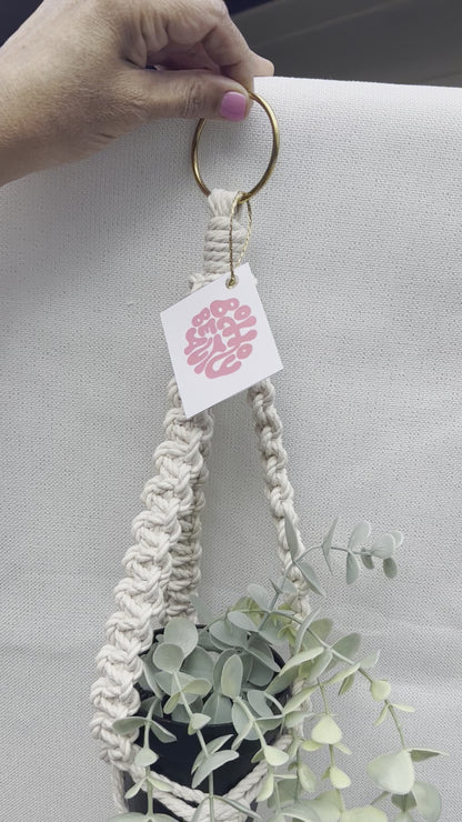 plant hangers